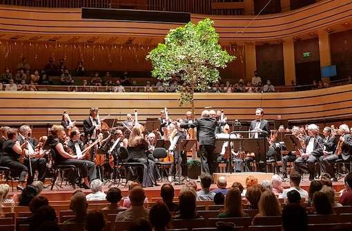Earth day - Orchestra, image of the orchestra playing with a tree above the players.