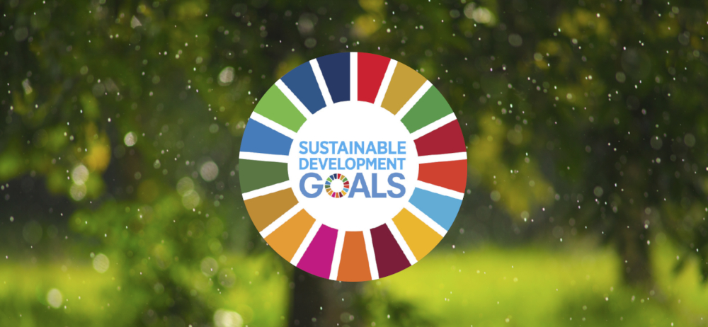 Fresh and natural tree background with a sunny light, shot in the late afternoon while it rains. With the the UN Sustainability goals logo in the middle of the image. Full credit for the image to Luminar Intelligence.