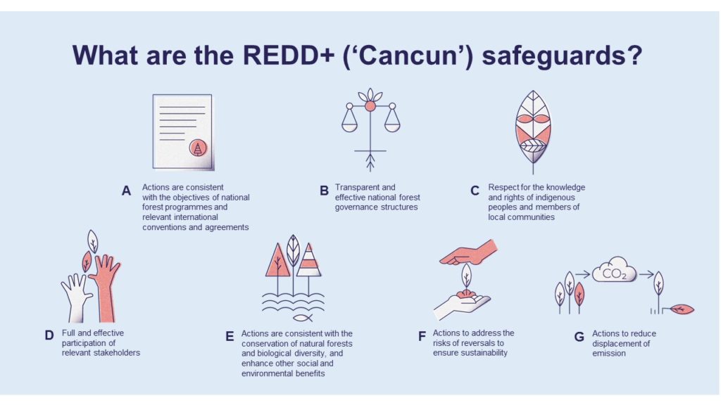 A infographic representing the REDD+ Cancun Safeguardss