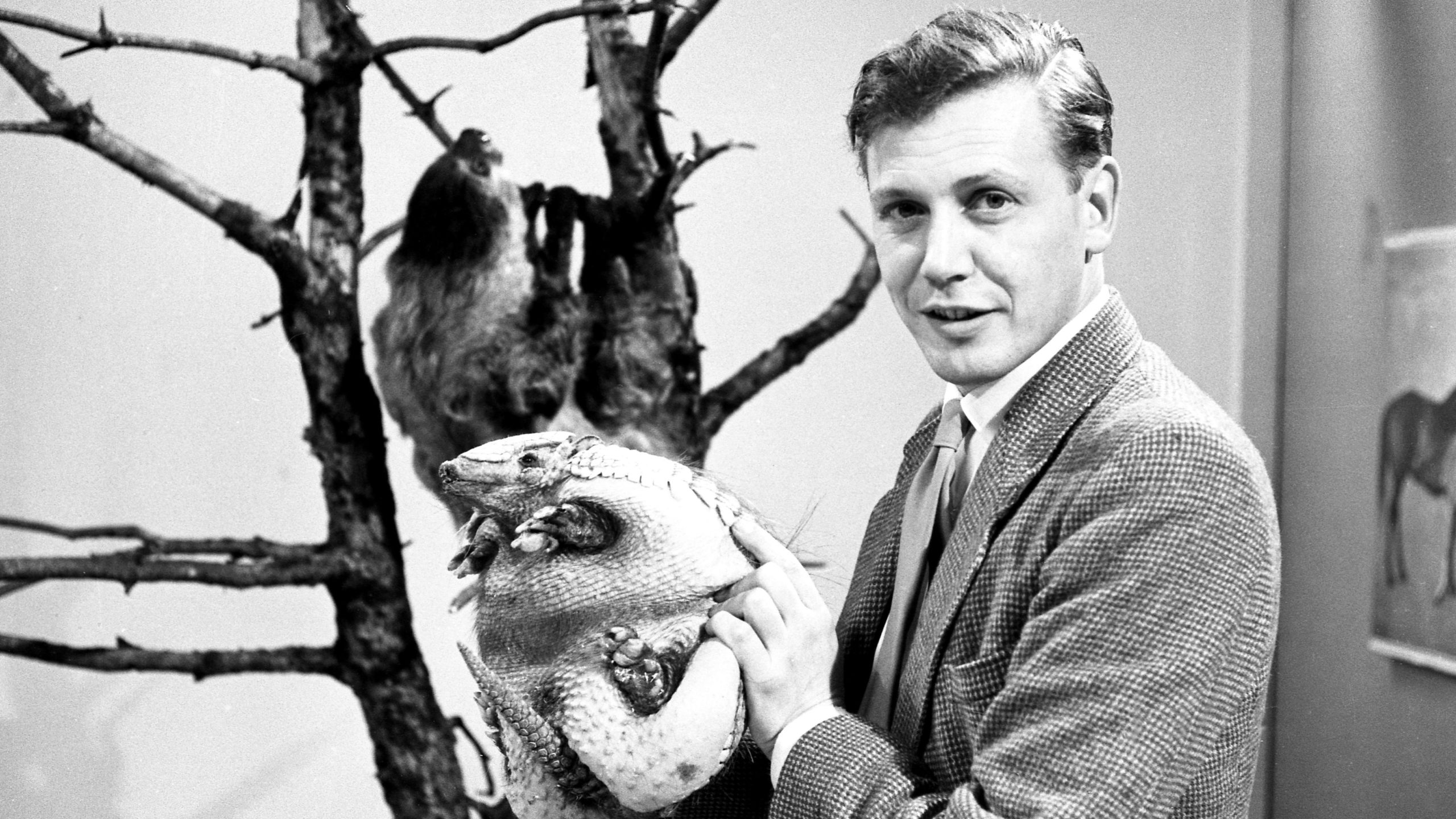 Attenborough - Adventures of a young naturalist - Zoo Quest