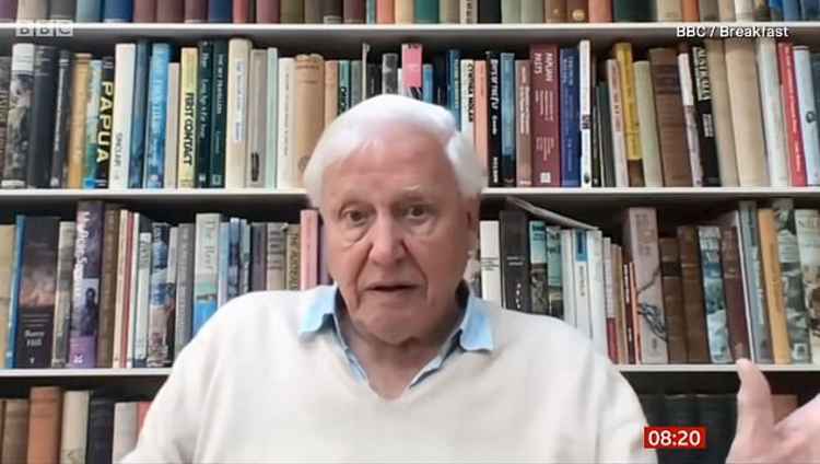 Image of David Attenborough in interview with the BBC