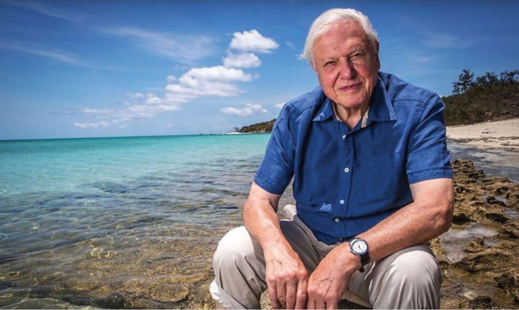 David-Attenborough-4-Beach - Hero image for One Tribe story - Attenborough - We are now in an extinction event - Pt 2
