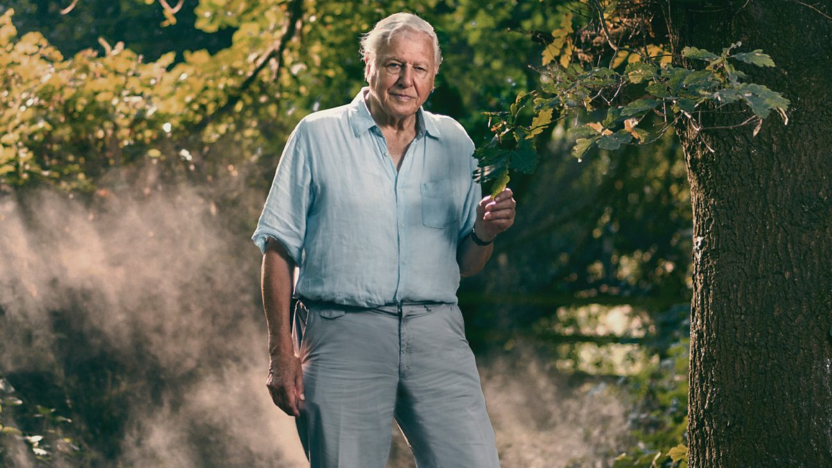 Extinction the facts - David Attenborough
