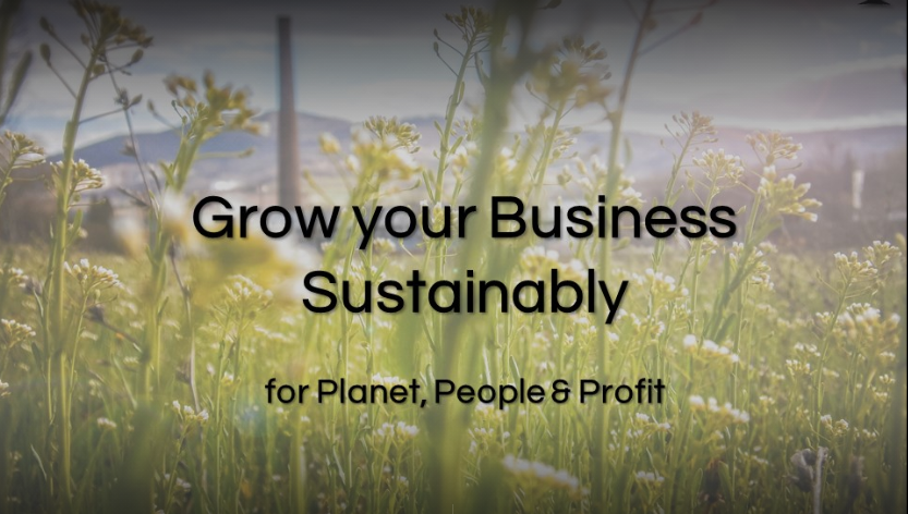Grow your business sustainably for Planet, People and profit