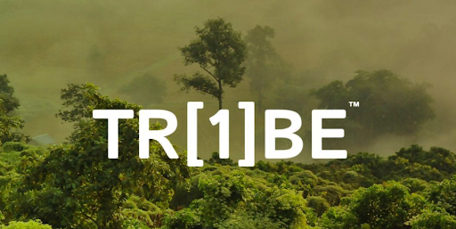 We are all One Tribe - Our online webstore technology can save rainforests