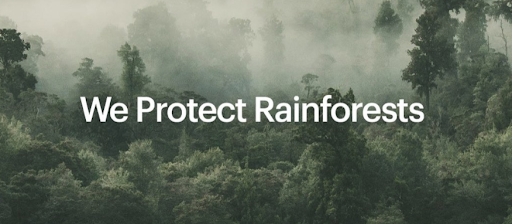 We protect rainforests with online webstore technology