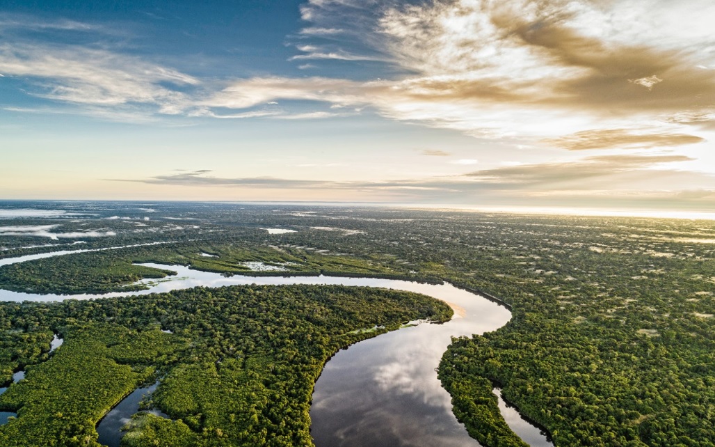 The Amazon river in the Amazon rainforest