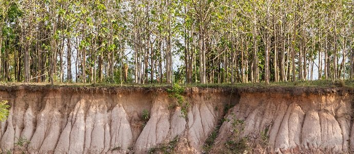 The striking erosion of soil