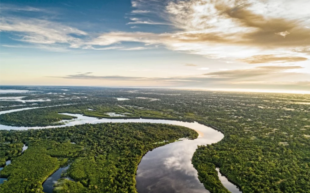 Aerial shot of Amazon rainforest