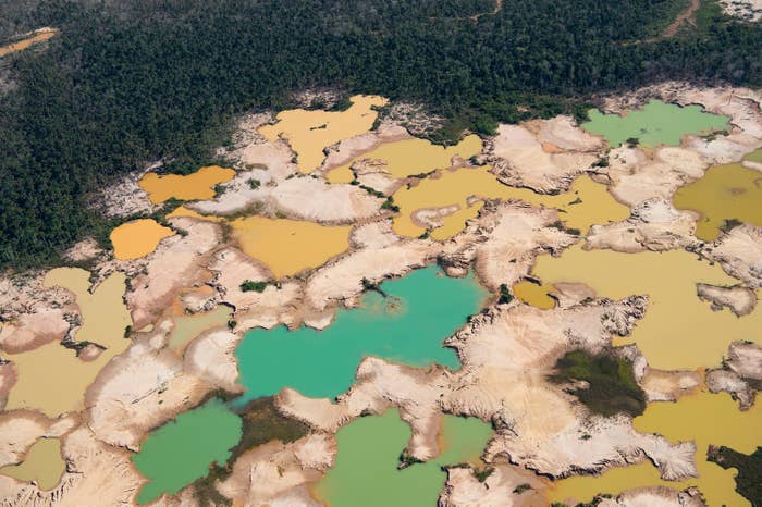 Deforestation by illegal amazon gold mines in the amazon rainforest by buzzfeed news