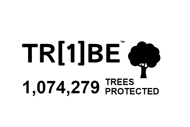Our mission to protect one million trees - Claro Money