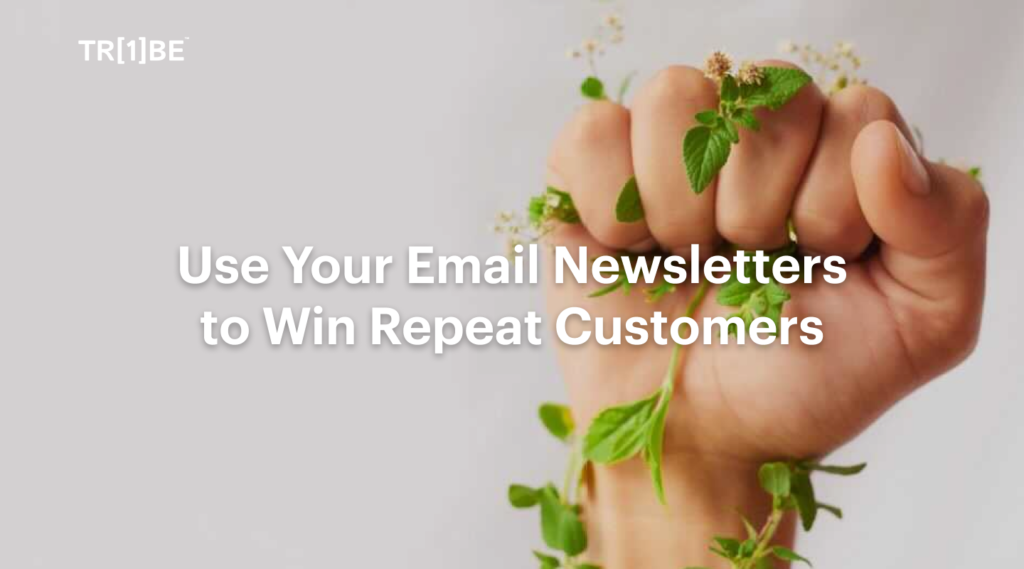 use email newsletters to win repeat customers
