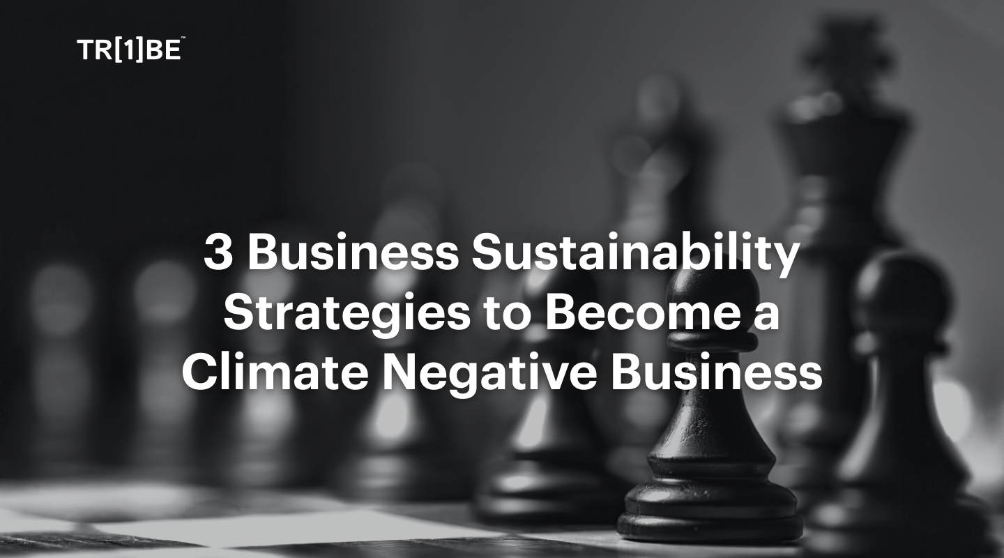 3 Business Sustainability Strategies to Become a Climate Negative Business