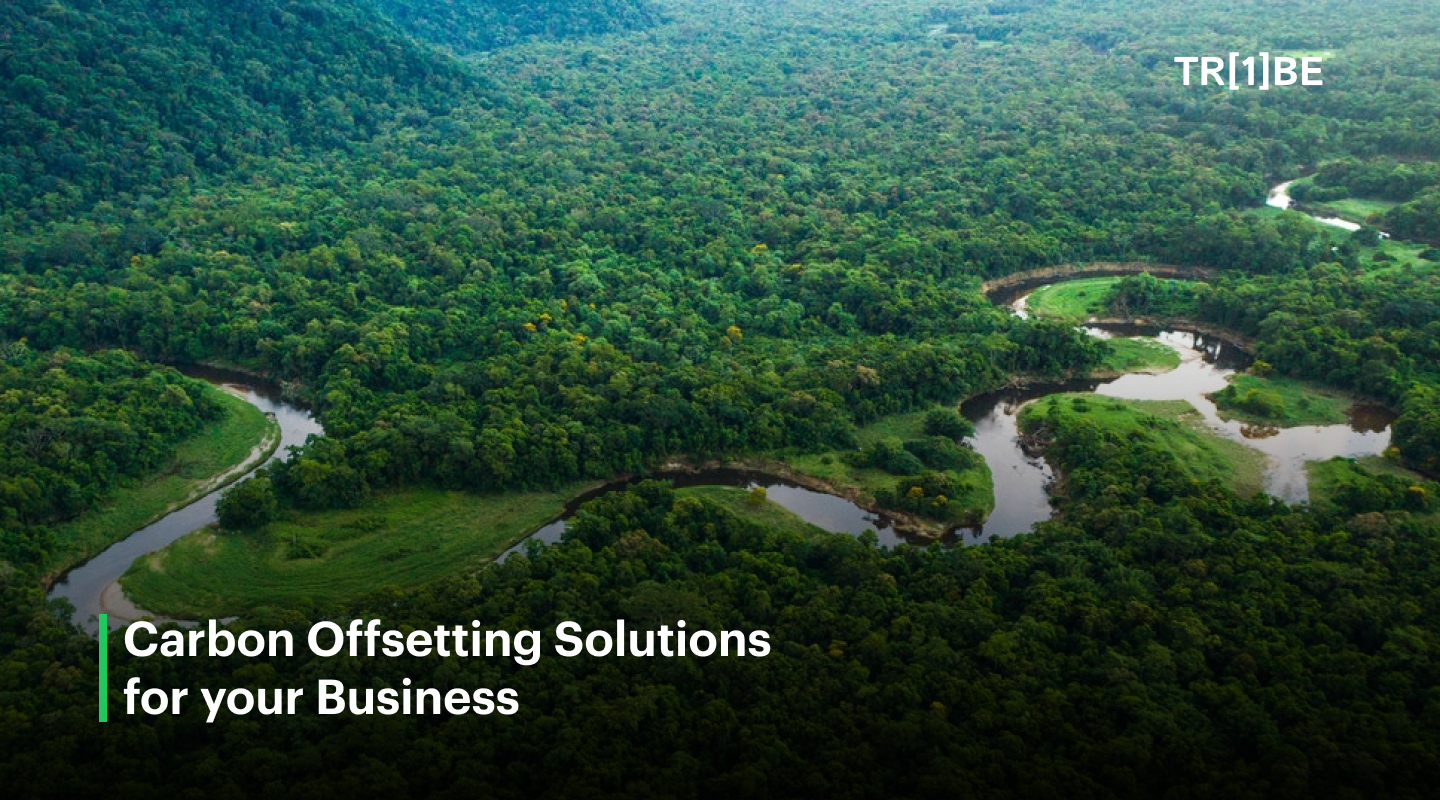carbon offsetting solutions for your business