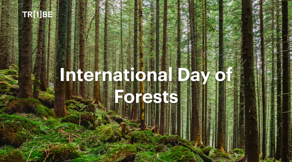 what is international day of forests
