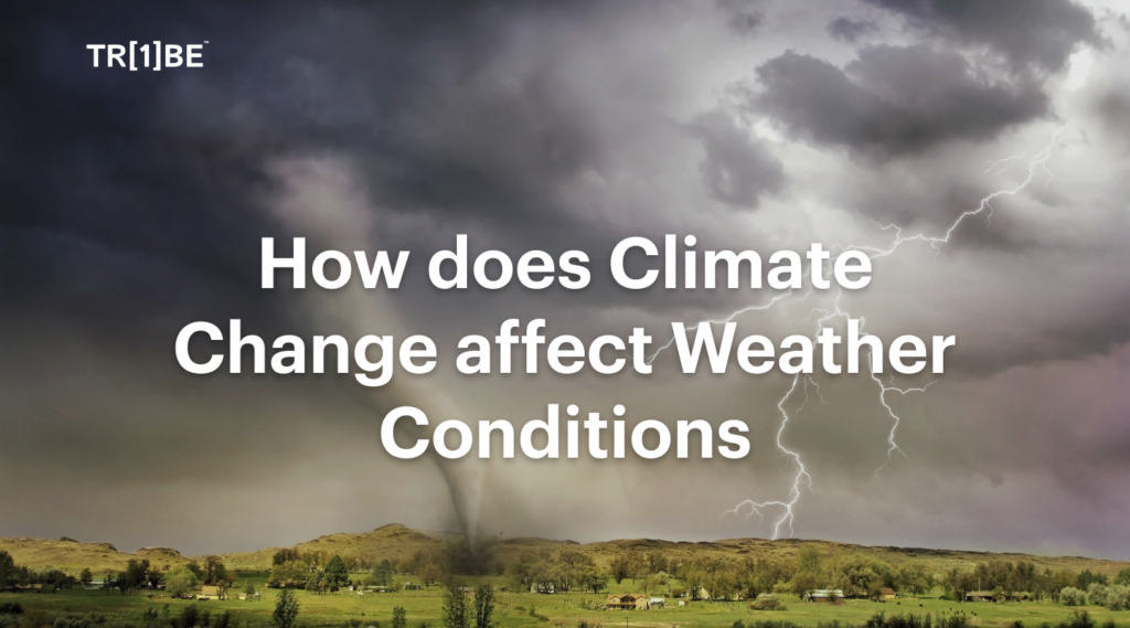how does climate change affect weather conditions one tribe blog