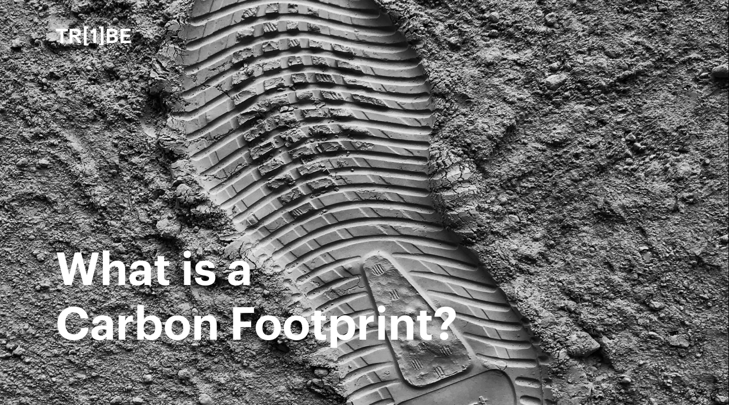 What is a carbon footprint