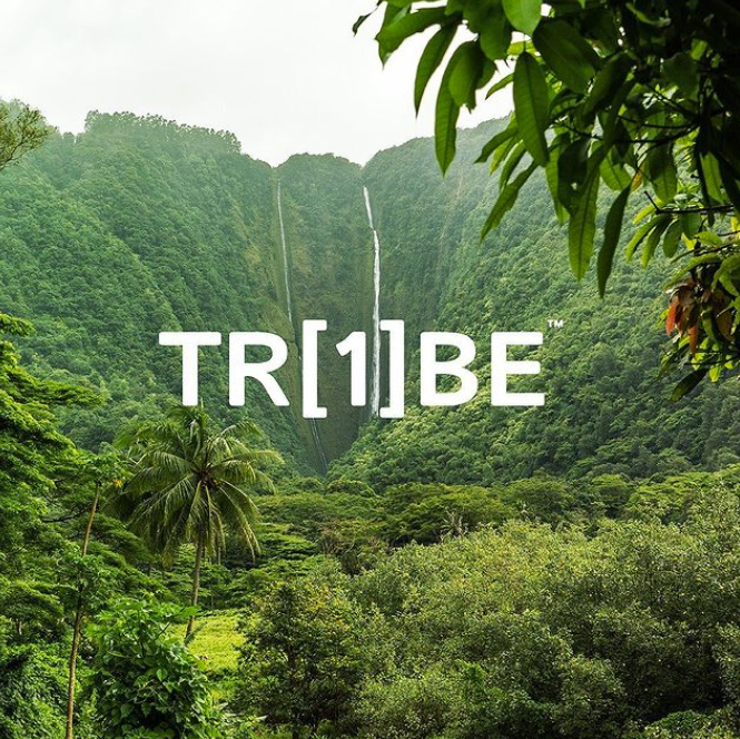 One Tribe logo