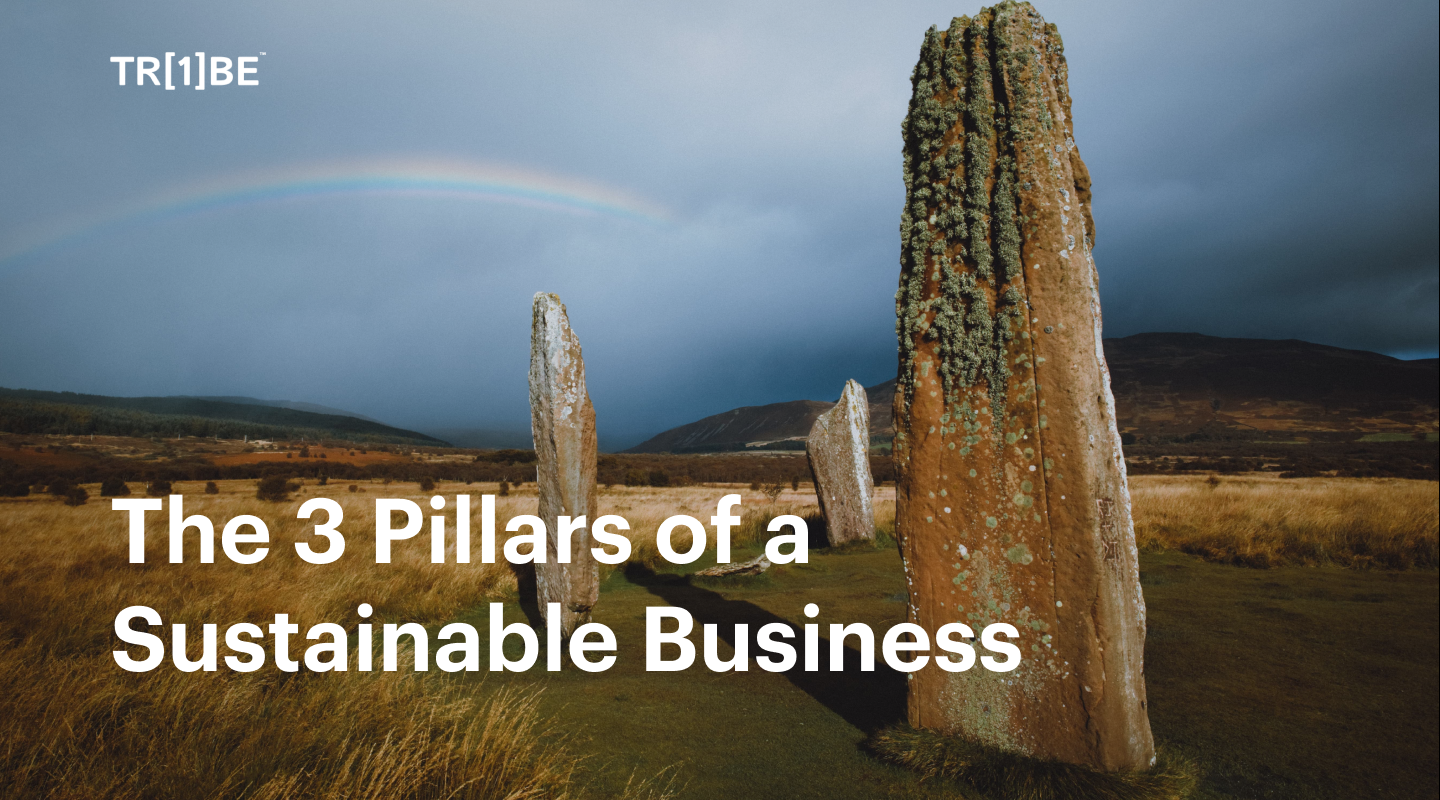 what are the three pillars of a sustainable business