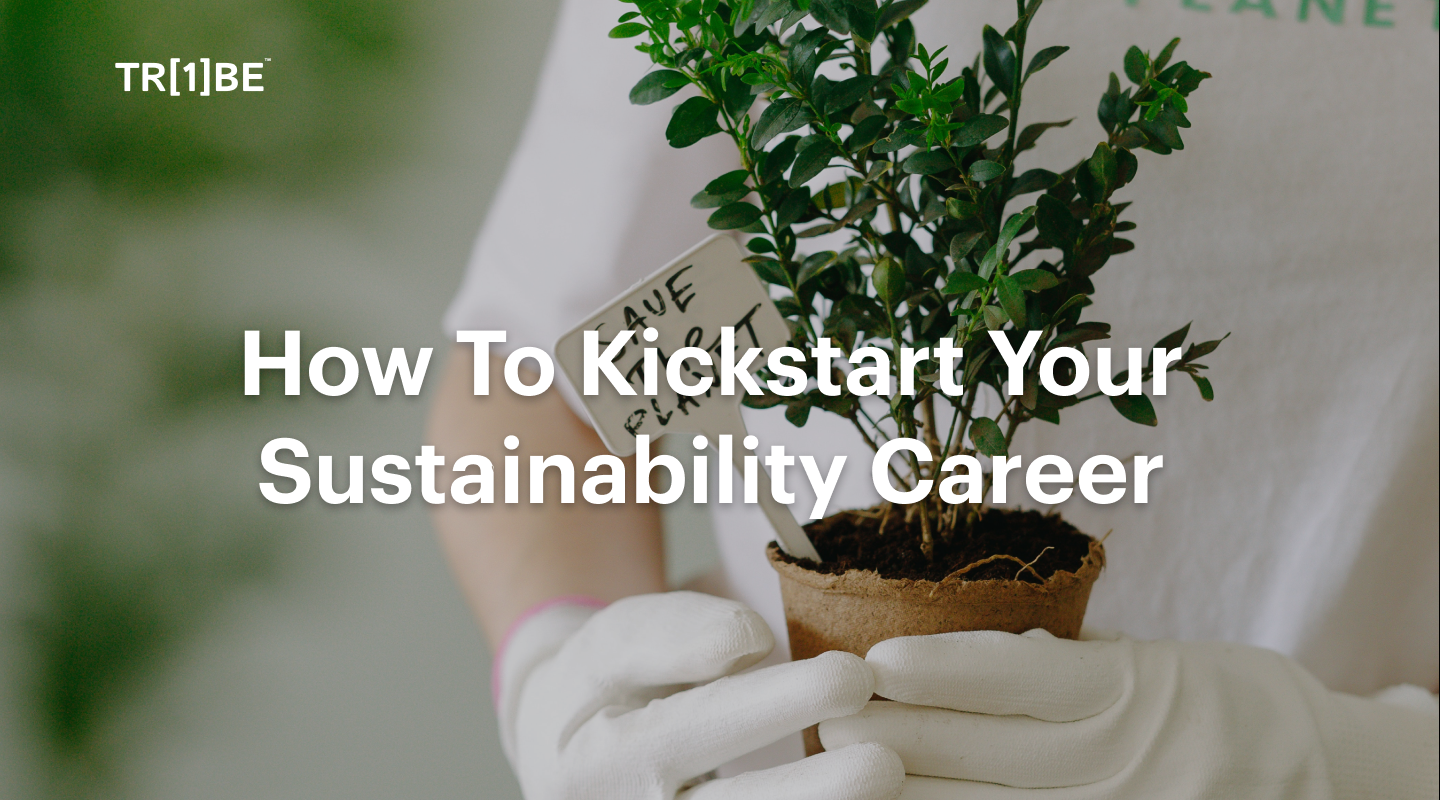 How To Kickstart Your Sustainability Career2