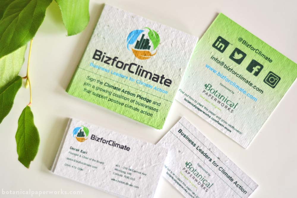 botanical paperworks eco friendly business cards replantable business cards