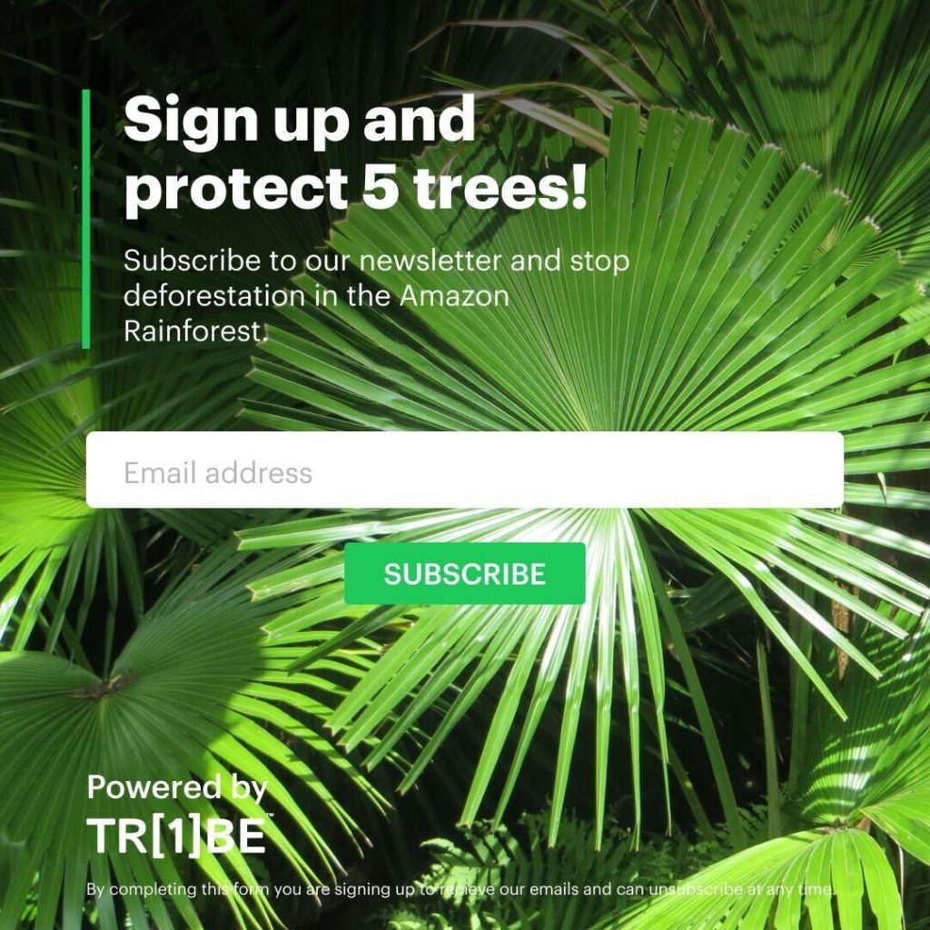 one tribe sustainable marketing materials for email newsletters sign up and protect trees