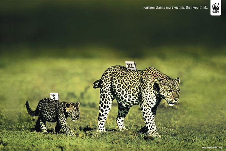 wwf leopard size tags campaign