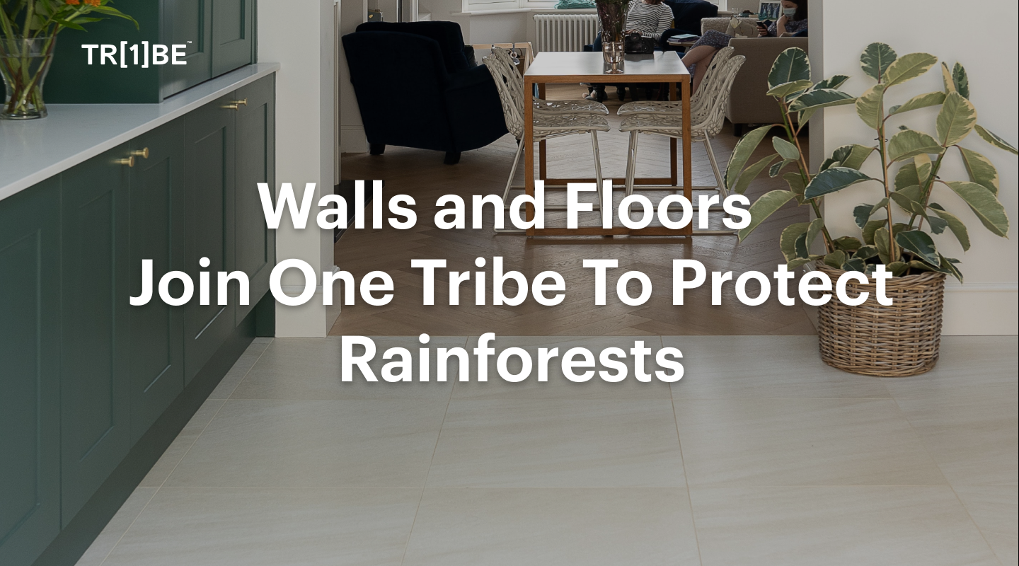 Walls and Floors Join One Tribe To Protect Rainforests1