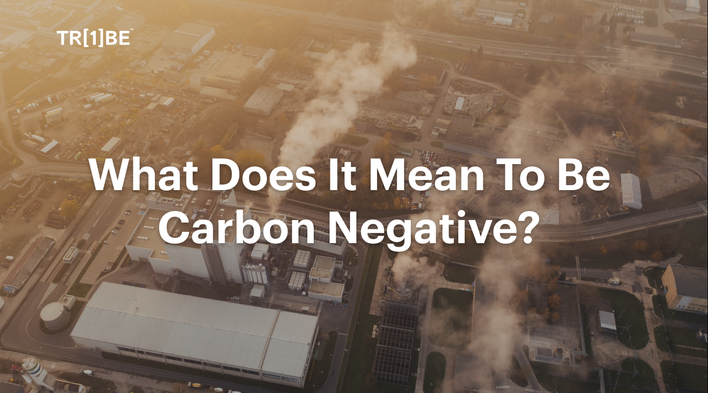 What Does It Mean To Be Carbon Negative