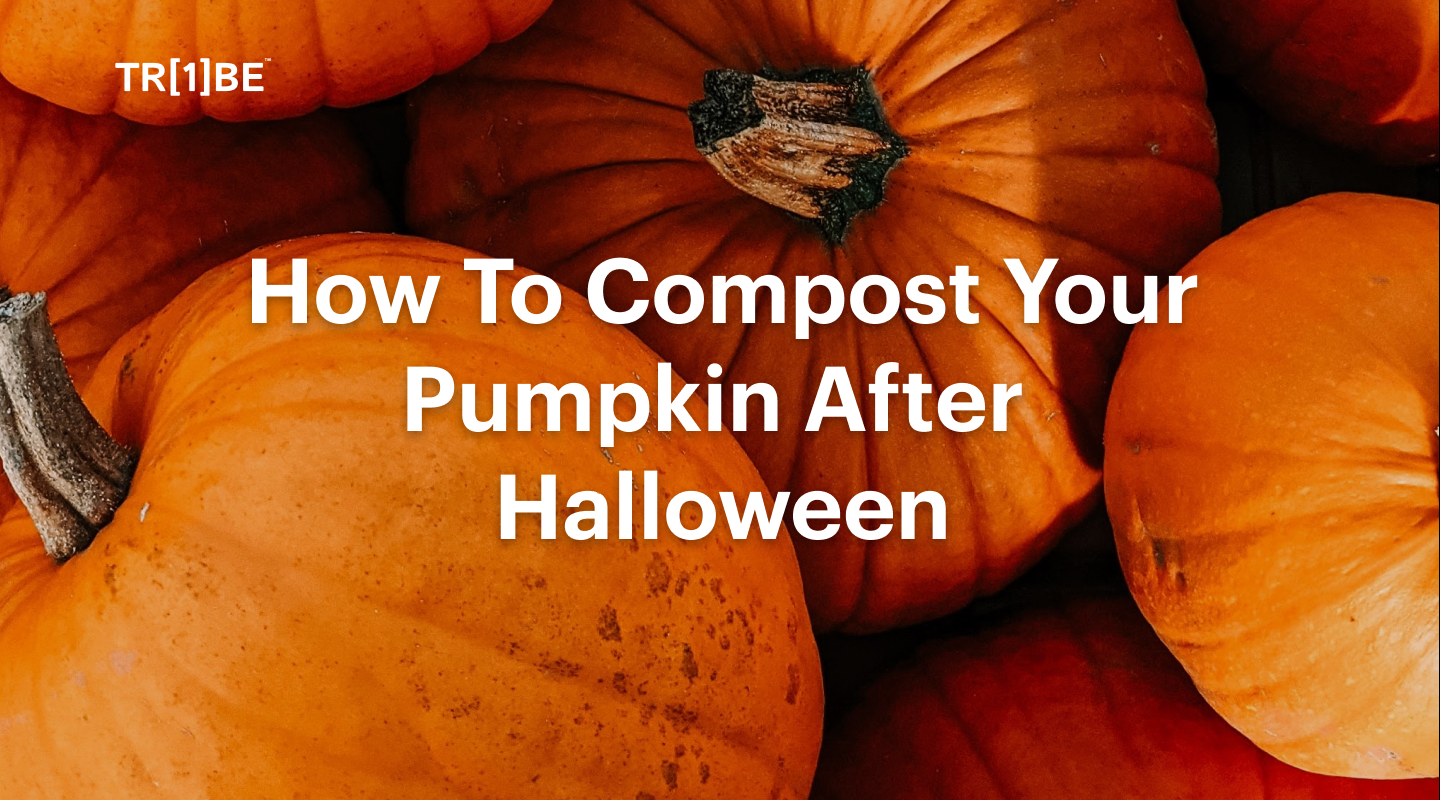 How To Compost Your Pumpkin After Halloween