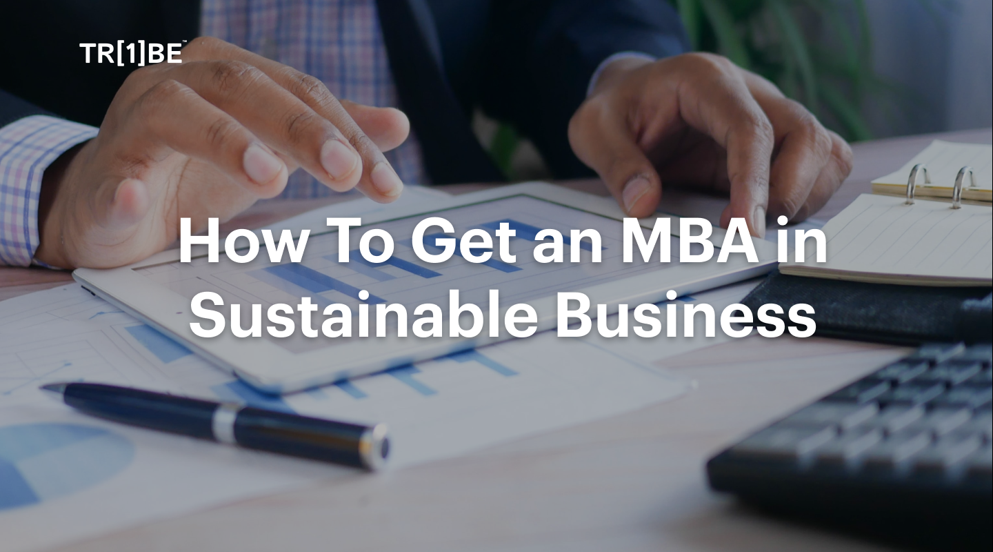 How To Get an MBA in Sustainable Business`