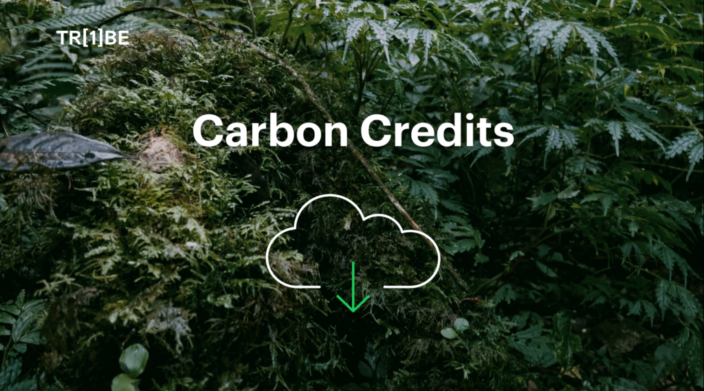 one tribe carbon credits for net zero businesses