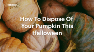7 ways toto dispose of pumpkins