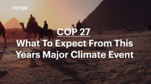 COP 27_ What To Expect From This Years Major Climate Event