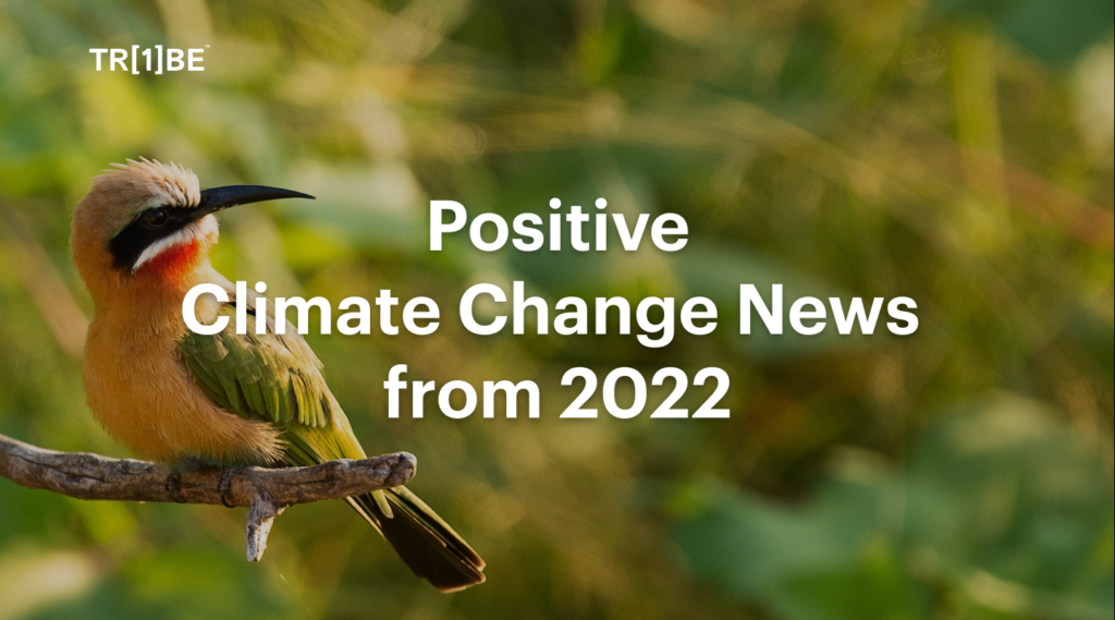 10 Positive Climate Change News Stories from 2022