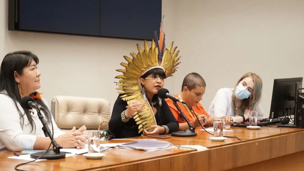 Positive Climate News Story: Sonia Guajajara, one of the first indigenous women to be elected as Federal Deputies in Brazil