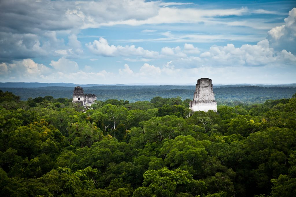 positive climate change news the Maya Biosphere Reserve expands its forests
