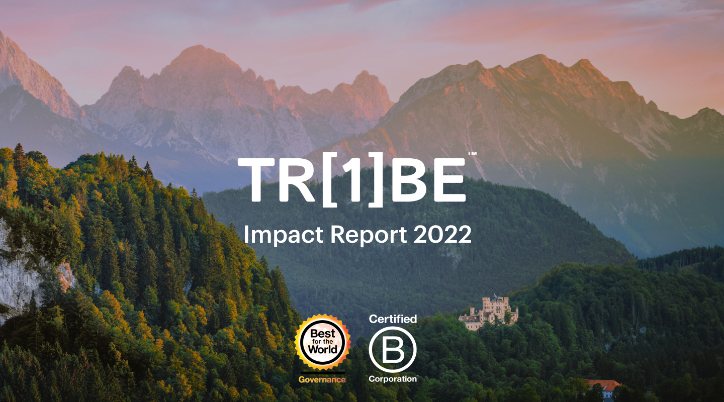 One Tribe Impact report blog header