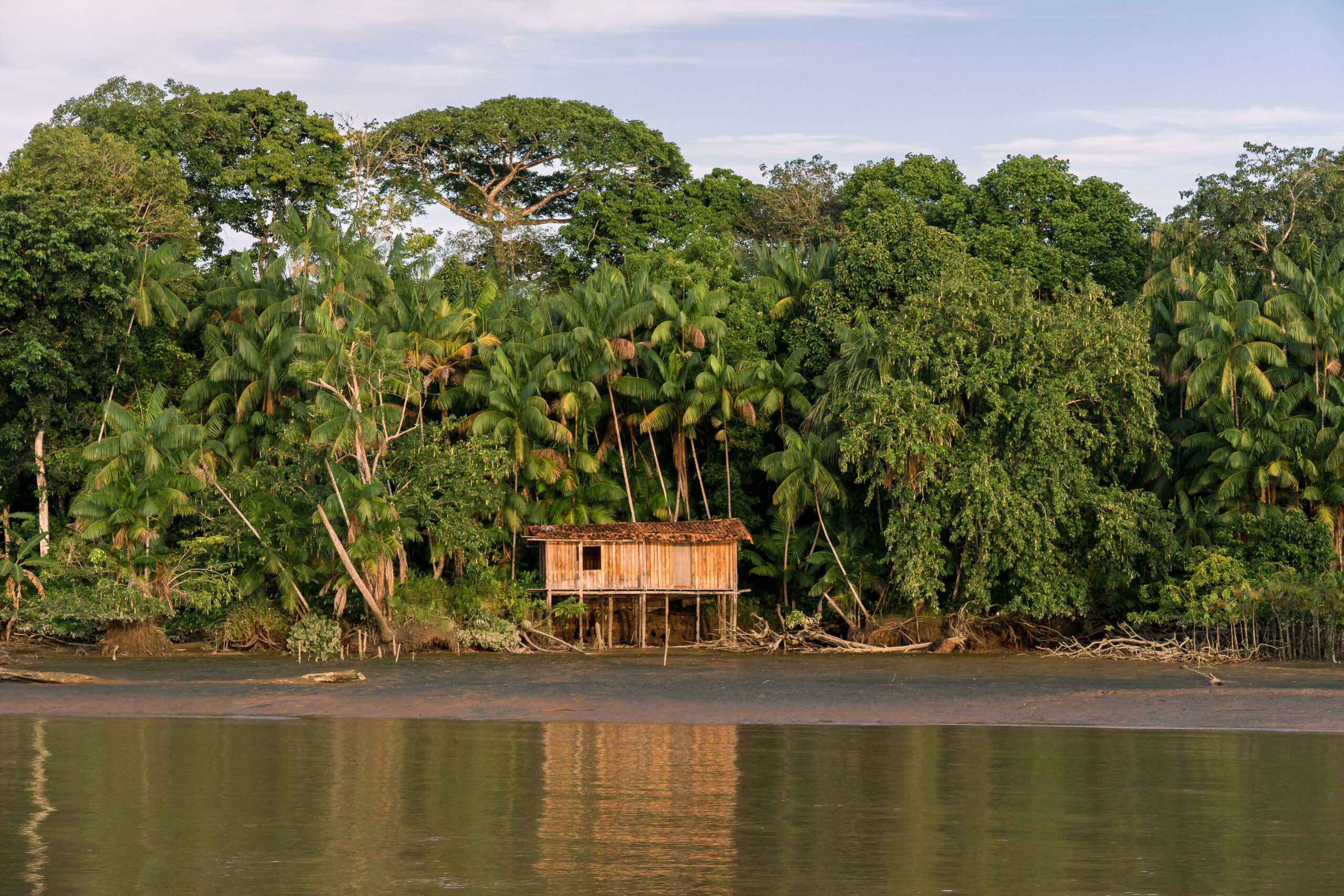 Casa simples as magens do rio na floresta amazonica no estado do Pará o Brasil