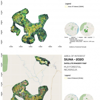 Land use analysis for 2003 and 2020 (Siuna)