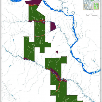 Vegetation map of the Consolidado#1 project region