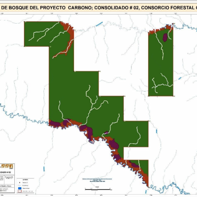 Vegetation map of the Consolidado#2 project region