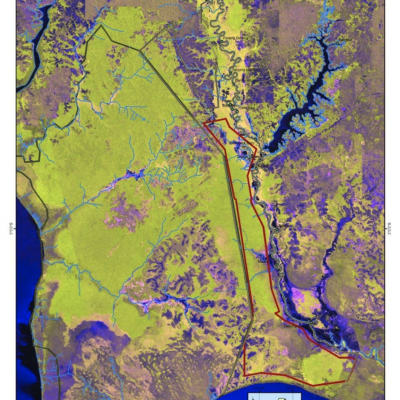 Forest and Vegetative cover of the project area shown on the Japanese Advanced Land Observing Satellite (ALOS). Green areas indicate forest cover; purple areas indicate bare or exposed soil.