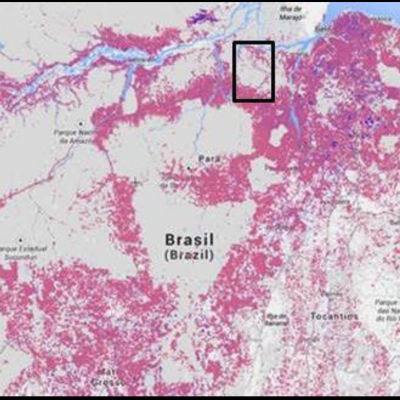 Project Location in relation to General deforestation in the Amazon