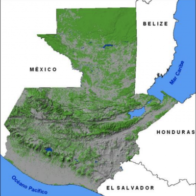 Forest Coverage Guatemala